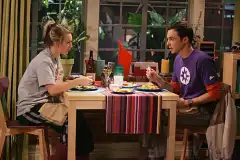 Теория большого взрыва 3 сезон 20 серия