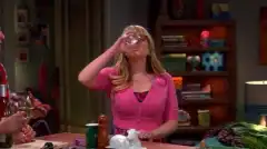 Теория большого взрыва 7 сезон 24 серия